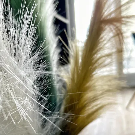 Le Saphir Lägenhet *